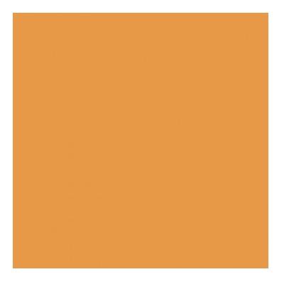 SERVILLETA ECOLABELCOLOR CURRY - 40x40 CM (1200 Unidades)