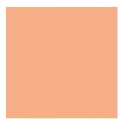 SERVILLETA ECOLABEL DOBLE PUNTO SALMÓN - 40x40 CM (1200 Unidades)