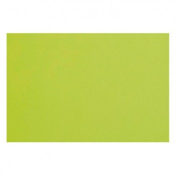 MANTELINES INDIVIDUALES KIWI NONWOVEN - 30x40 CM