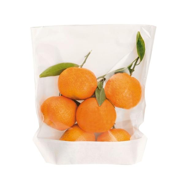 BOLSA BLANCA DE PAPEL LAMINADO TURTLE PACK - 20x24/21+3,5 CM (500 Unidades)