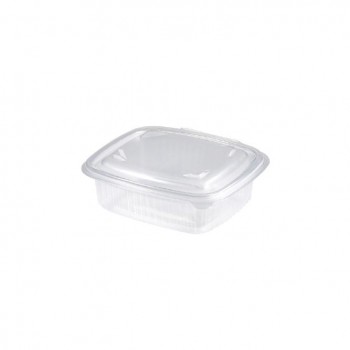 ENVASE TRANSPARENTE CON TAPA BISAGRA - 250 ML