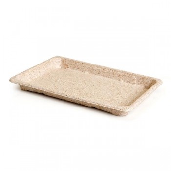 BANDEJA SUSHI BAGAZO - 23,5x15,5x2 CM