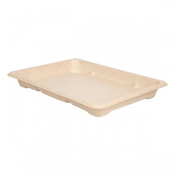 BANDEJA DE BAGAZO PARA SUSHI - 18,5x13x1,5 CM