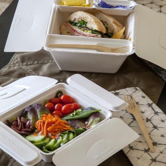 Packaging Bagazo